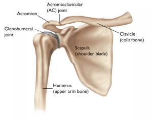 Arthritis of the Shoulder