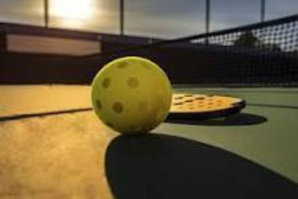 Pickleball blog pic